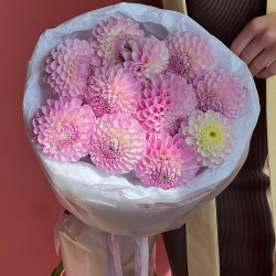 Букет из 11 розовых георгин